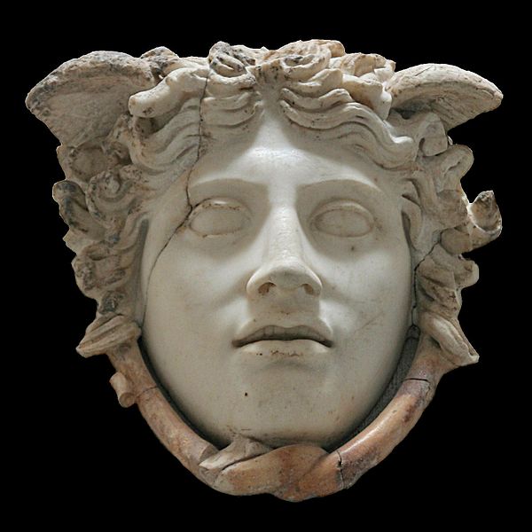 medusa-head-1.jpg